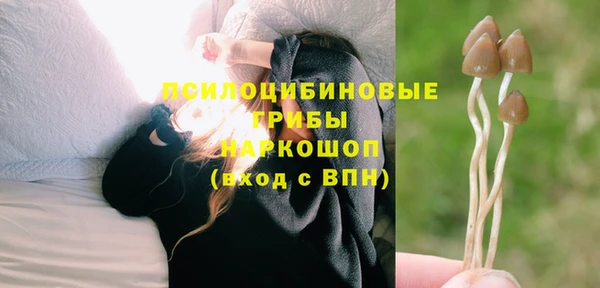 Альфа ПВП Туринск