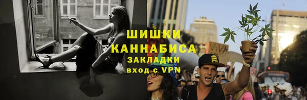 дурь Няндома