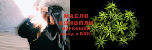 сатива Осинники