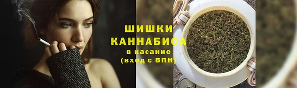 дурь Няндома