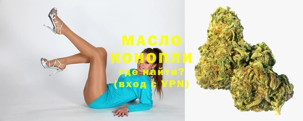сатива Осинники