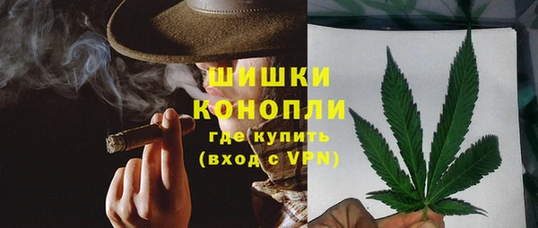 дурь Няндома