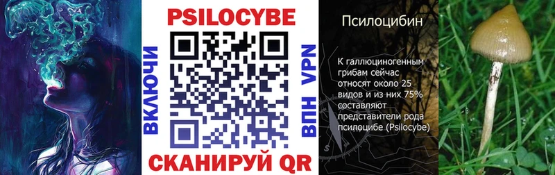 hydra зеркало  Змеиногорск  Псилоцибиновые грибы ЛСД 